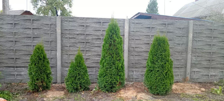 Наши работы